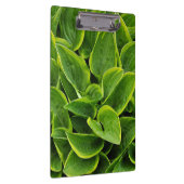 Afdruk groene holblad klembord (Rechts)