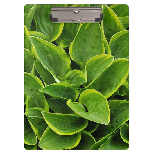 Afdruk groene holblad klembord (Voorkant)
