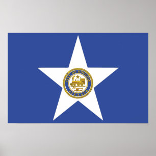 Afdruk met vlag van Houston, VS Poster