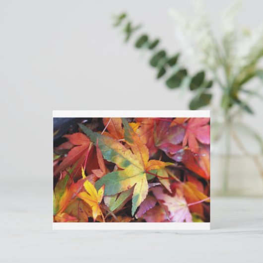Afdruk mooie herfstbladeren briefkaart (Staand voorkant)
