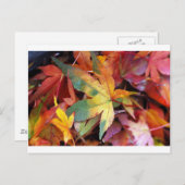 Afdruk mooie herfstbladeren briefkaart (Voorkant / Achterkant)