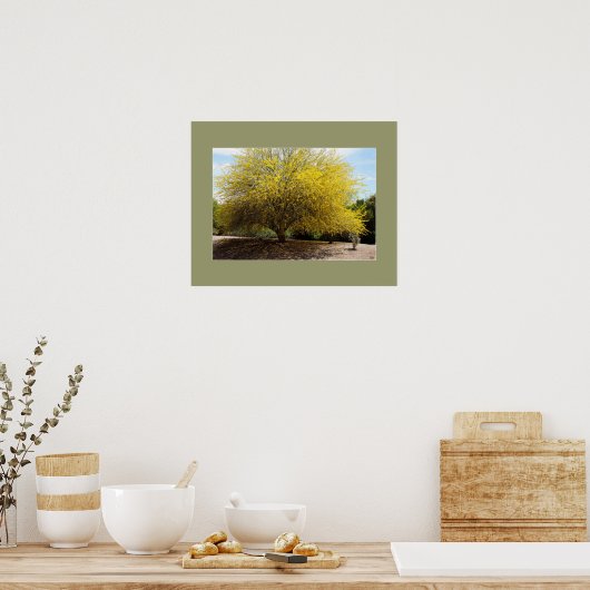 Afdruk Palo Verde Tree Poster (Keuken)