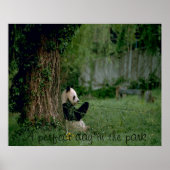 Afdruk Panda beer poster (Voorkant)