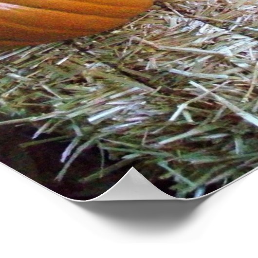 Afdruk pompoendisplay poster (Hoek)