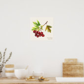 Afdruk poster van Hawthorn botanische fijne kunst (Keuken)