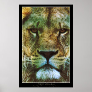 Afdruk "PRIDE"-Poster Poster