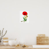Afdruk rood papaverblazer Poster #8 (Keuken)