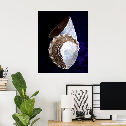 Afdruk "schelpen" poster (Thuiskantoor)