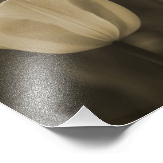 Afdruk sepia toon (Hoek)