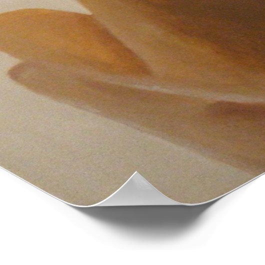 Afdruk "Serenity" (SSS) Poster (Hoek)