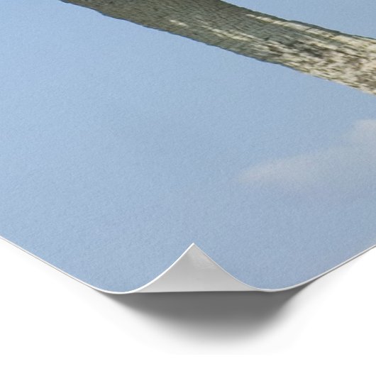 Afdruk van aalscholverdroogprogramma's poster (Hoek)