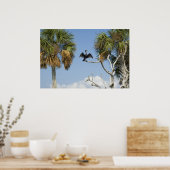 Afdruk van aalscholverdroogprogramma's poster (Keuken)