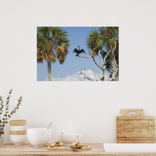 Afdruk van aalscholverdroogprogramma's poster (Keuken)