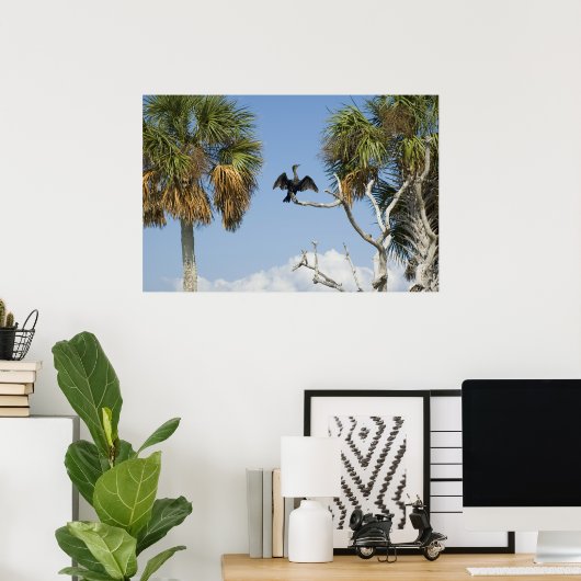 Afdruk van aalscholverdroogprogramma's poster (Thuiskantoor)