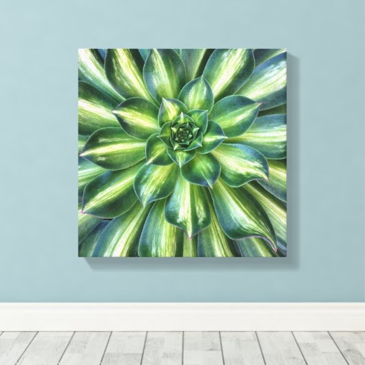 Afdruk van Aeonium 'Starburst'-doek Canvas Afdruk (Insitu (Houten vloer))