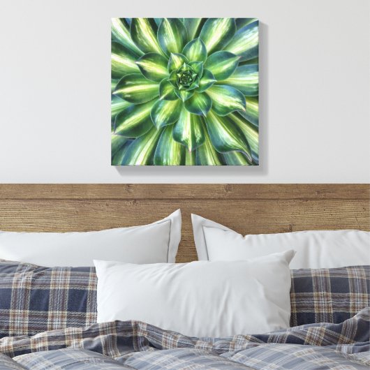 Afdruk van Aeonium 'Starburst'-doek Canvas Afdruk (Insitu (Slaapkamer))