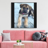 Afdruk van Athena-puppy canvas (Insitu (Woonkamer))