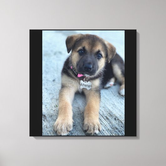 Afdruk van Athena-puppy canvas (Voorkant)