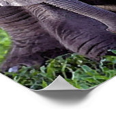 Afdruk van Baby met portret van Afrikaanse olifant Poster (Hoek)