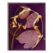 Afdruk van binaire lumen (Voorkant)