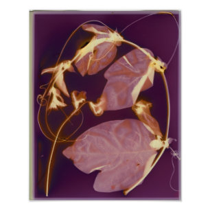 Afdruk van binaire lumen