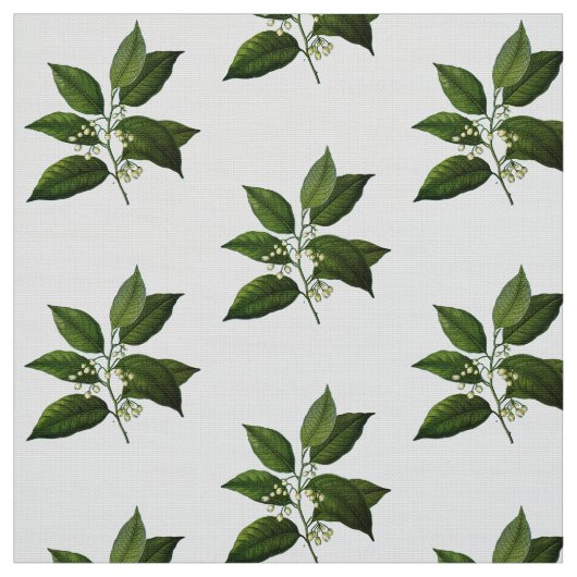  afdruk van botanische olie stof (Swatch)