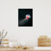 Afdruk van diepzeepaardillustraties van zee poster (Keuken)