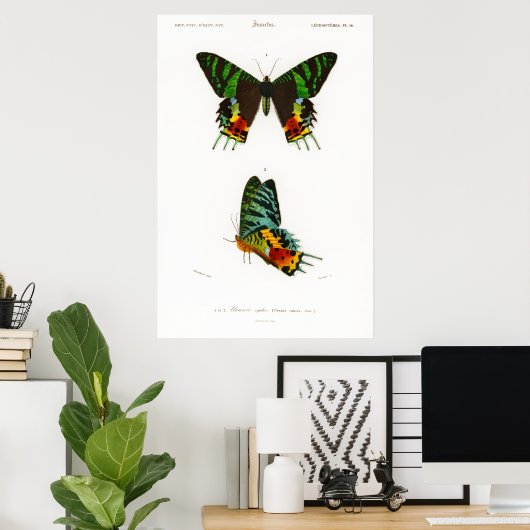  afdruk van een Poster van de Madagaskar Sunset Mo (Thuiskantoor)