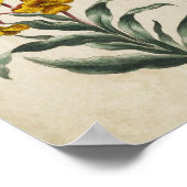  afdruk van flessenwand poster (Hoek)