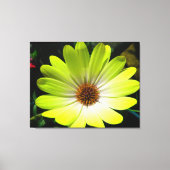 Afdruk van geel schilderCanvas met zwarte maisy fl Canvas Afdruk (Voorkant)