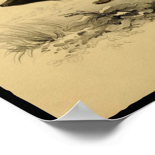  afdruk van het Poster van Egel (Hoek)