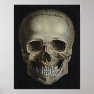 afdruk van Human Skull Black Poster