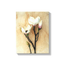 Afdruk van kunstmand Magnolia floral art