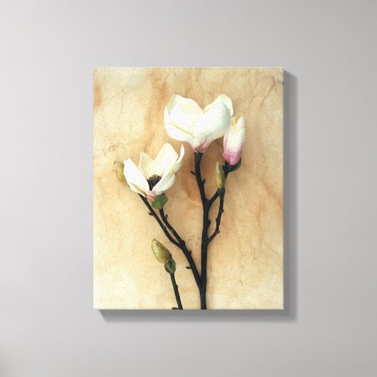 Afdruk van kunstmand Magnolia floral art Canvas Afdruk (Voorkant)