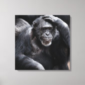 Afdruk van oud Chimpansee-canvas Canvas Afdruk (Voorkant)
