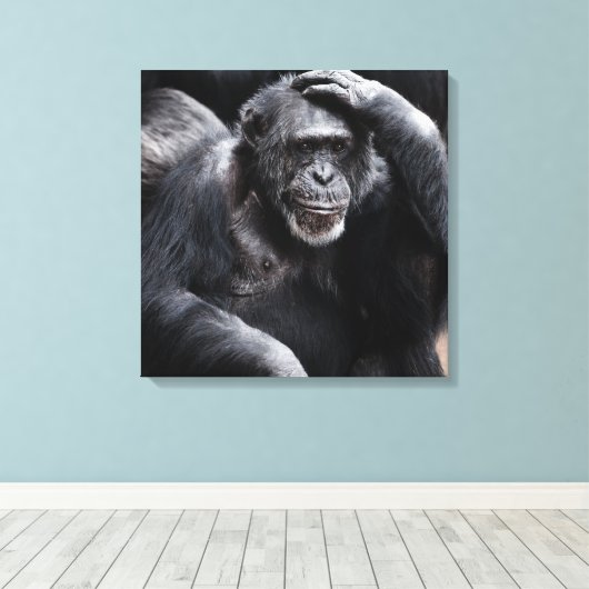 Afdruk van oud Chimpansee-canvas Canvas Afdruk (Insitu (Houten vloer))