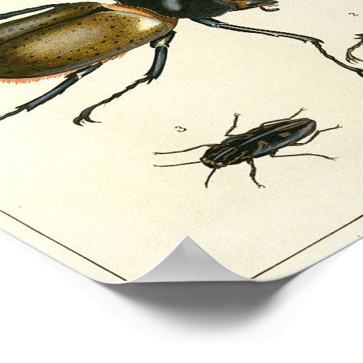 Afdruk van plaatjes poster (Hoek)