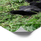 Afdruk van poster van de berggorilla-groep (Hoek)