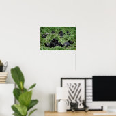 Afdruk van poster van de berggorilla-groep (Thuiskantoor)