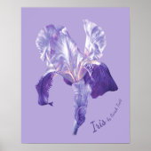 Afdruk van poster van de vlag Iris (paars en mauve (Voorkant)