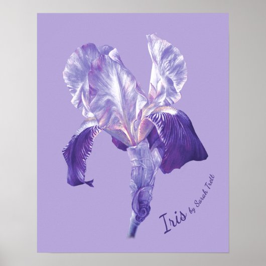 Afdruk van poster van de vlag Iris (paars en mauve (Voorkant)