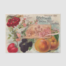 Afdruk van  Reid Catalog 1896