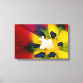 Afdruk van rode tulpbloem canvas afdruk (Voorkant)