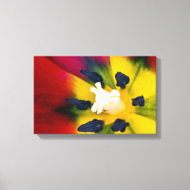 Afdruk van rode tulpbloem canvas afdruk