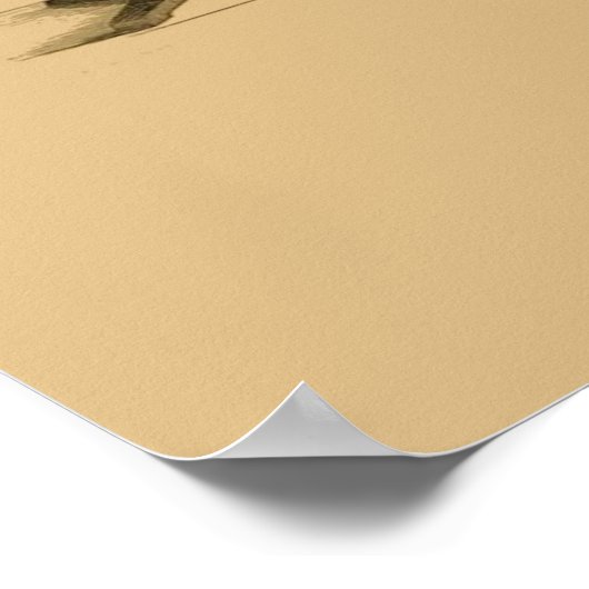 Afdruk van tandheelkundige microscoop #4 poster (Hoek)