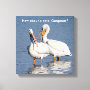 Afdruk van twee grappige pelikanen canvas afdruk