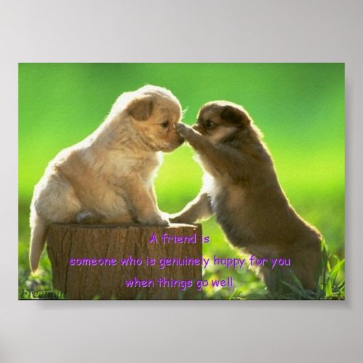 Afdruk van uppy poster (Voorkant)
