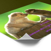 Afdruk van uppy poster (Hoek)