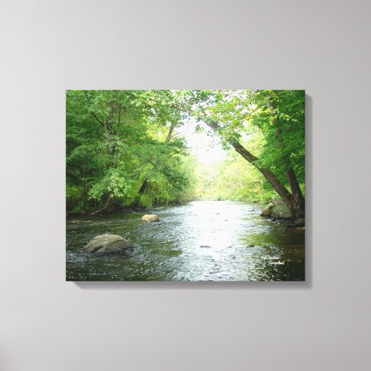 Afdruk van verstijfd Canvas met woudkreek (Voorkant)