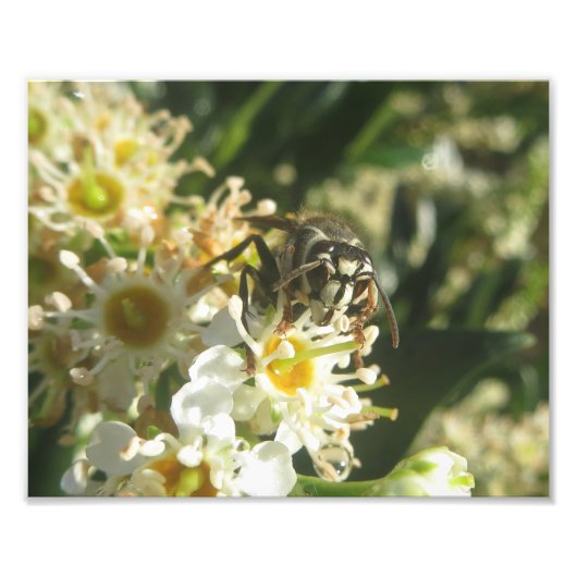 Afdruk van voorgelaagde paardennetten (Voorkant)